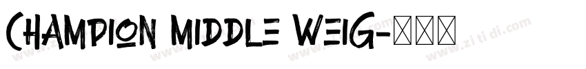 Champion Middle Weig字体转换